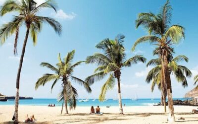 Best Tours & Experiences in Praia