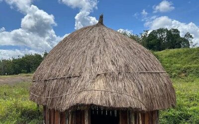 Best Tours & Experiences in Raja Ampat