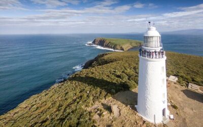 Best Things to Do in Hobart (2026): Top-Rated Tours & Experiences