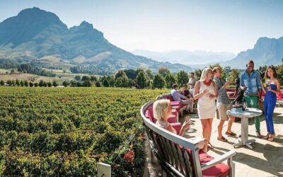 Cape Town to Cape Winelands: Best Multi-Day Tours (2026)