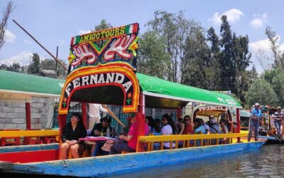 Xochimilco, Coyoacan and Frida Kahlo with Optional Lunch (2026 Review & Booking Guide)