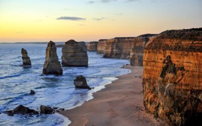 Great Ocean Road Tour Plus Koalas, Forest Walk and Morning Tea (2026 Review & Booking Guide)