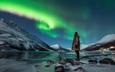 Northern Lights Minibus Chase from Tromsø with Chasing Lights (2026 Review & Booking Guide)