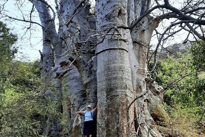 Baobab Heike Connect with Nature