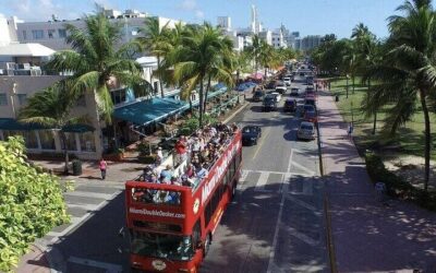 Wynwood Graffiti Golf Cart Small-Group Tour (2026 Review & Booking Guide)