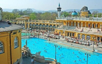 Buda Castle District Dark History, Legends and Vampire Night Tour (2026 Review & Booking Guide)