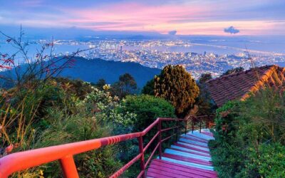 Best Tours & Experiences in Penang