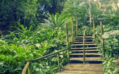 Best Tours & Experiences in Nadi