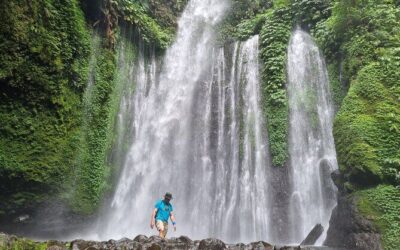 Best Tours & Experiences in Lombok