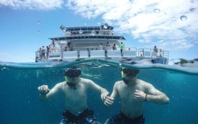 Best Tours & Experiences in Buzios, Brazil