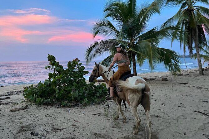 Beach Horse Riding in the Caribbean Puerto Viejo