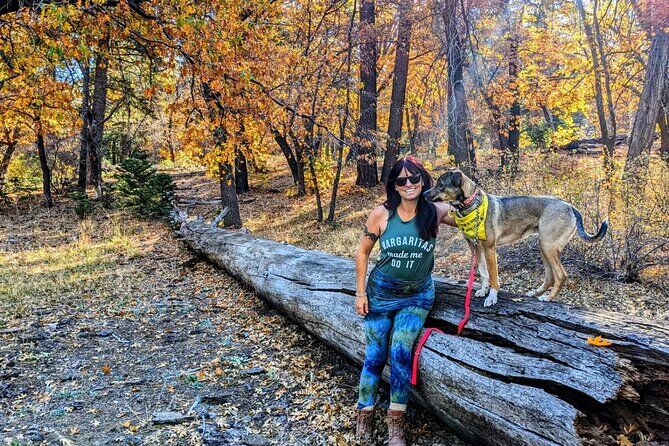 Die besten Touren und Erlebnisse in Big Bear Lake, Kalifornien 20 Best Fall Colors Hiking Tour in Southern California Big Bear - Big Bear Lake California