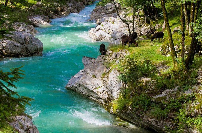 Best of Slovenia and Italy Tolmin Trieste Day Trip from Ljubljana - Trieste Italy