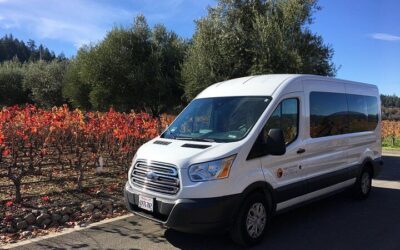 Small-Group Wine Country Tour from San Francisco with Tastings (2026 Review & Booking Guide)