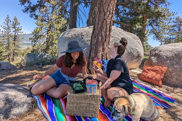 Die besten Touren und Erlebnisse in Big Bear Lake, Kalifornien 14 Big Bear Lake Jeep Tour with Light Lunch