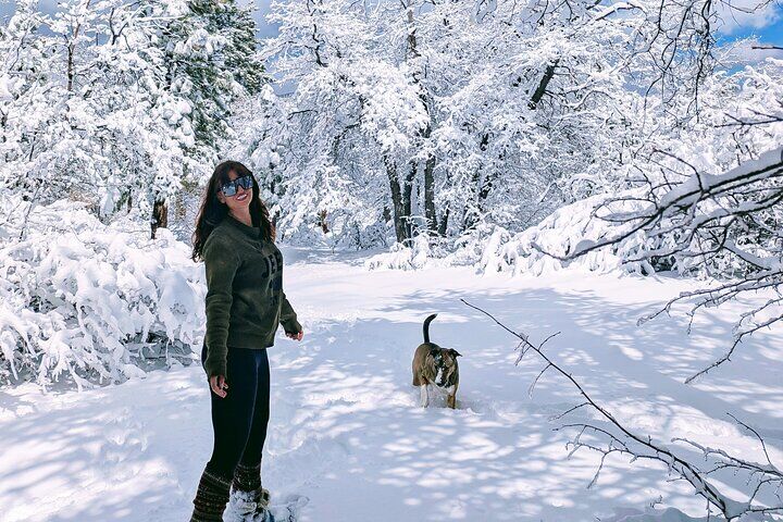 Die besten Touren und Erlebnisse in Big Bear Lake, Kalifornien 17 Big Bear Lake Snow Play Adventure