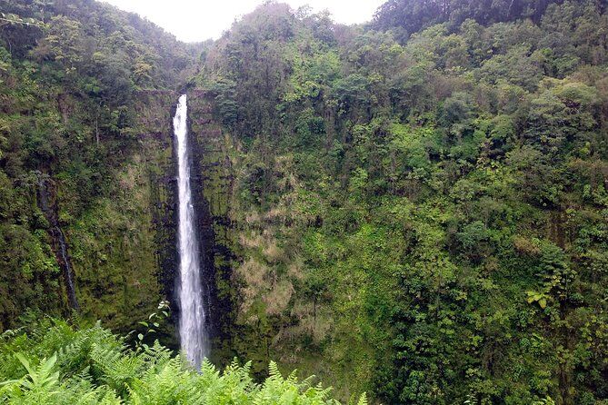 Big Island BIG Volcano Adventure from Kona Small Group - Volcano Village Big Island