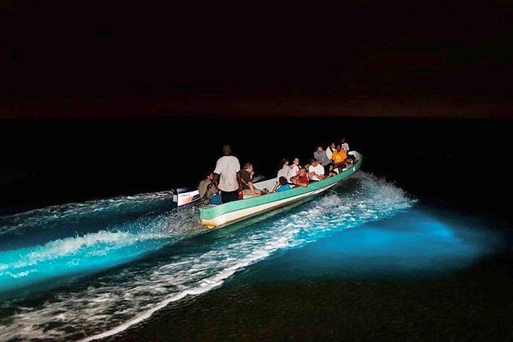 Best Tours & Experiences in Bocas del Toro 12 Bioluminescence Snorkeling and Boat Experience at Bocas del Toro