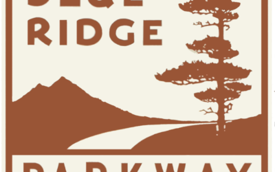 Blue Ridge Parkway Road Trip: Best Stops and Scenic Drives