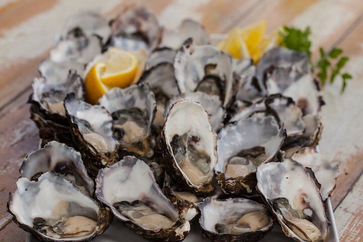 호바트 추천 투어 & 체험 13 Bruny Island Traveller - Gourmet Tasting and Sightseeing Day Trip from Hobart