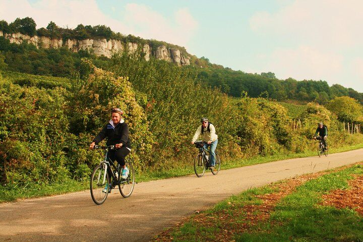 Best Things To Do in Beaune: Hospices de Beaune & Wine Cellar Tours 13 Burgundy Bike Tour with Wine Tasting from Beaune