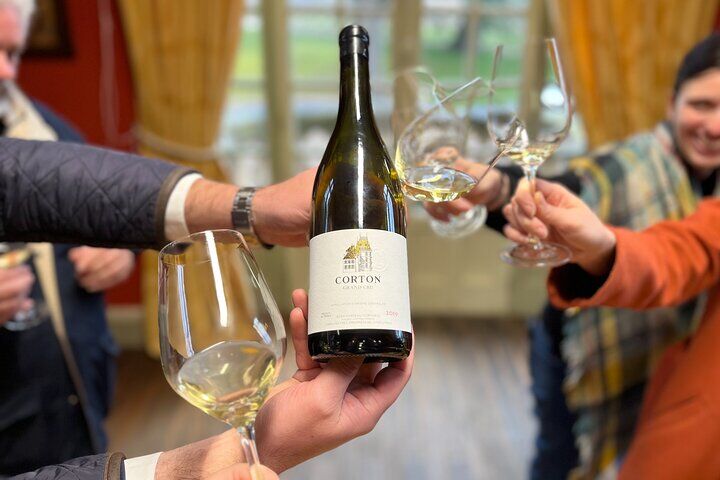 Best Things To Do in Beaune: Hospices de Beaune & Wine Cellar Tours 14 Burgundy Grand Crus Route Day Tour - 14 Wines Tastings in Domains