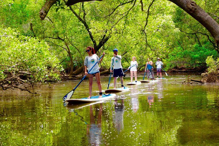 Best Tours & Experiences in Byron Bay 12 Byron Stand Up Paddle Nature Tour