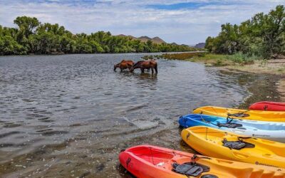 Best Things to Do in Phoenix (2026): Top-Rated Tours & Experiences