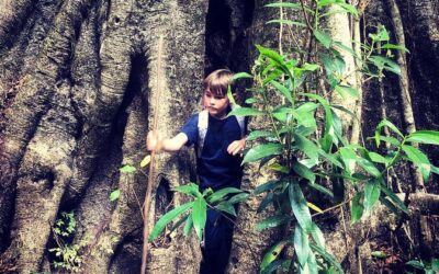 Best Tours & Experiences in Lilongwe