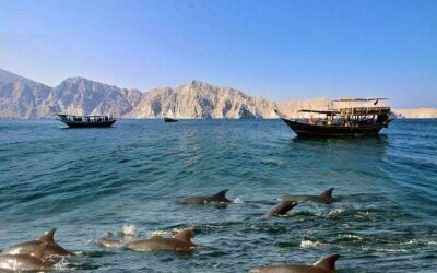 Best Tours & Experiences in Musandam