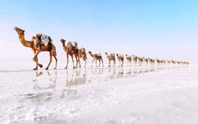 Best Tours & Experiences in Mekele, Ethiopia
