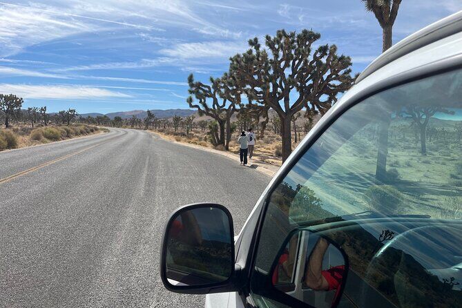 Joshua Tree National Park Tour