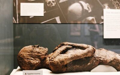 Smithsonian museums Tickets & Tour Guide (2026): Is It Worth It?