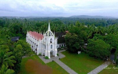 Best Tours & Experiences in Goa