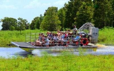 Florida Everglades Airboat Tour and Wild Florida Admission (2026 Review & Booking Guide)