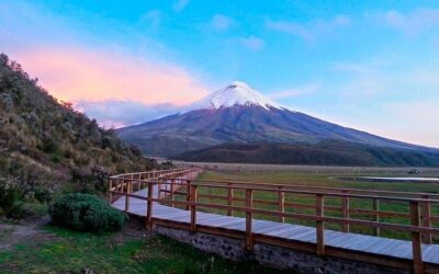 Cotopaxi Full-Day from Quito Including Entrances (2026 Review & Booking Guide)