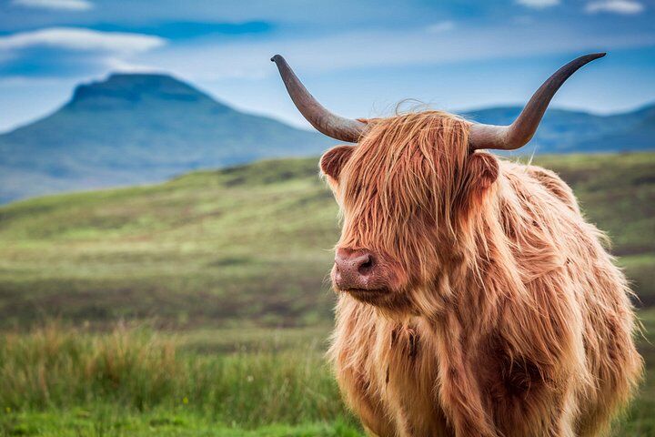 Loch Ness & Highlands from Edinburgh: Guided Tour vs Do It Yourself (Cost & Time Compared) 14 Scottish Highlands, Loch Ness and Glencoe Day Trip from Edinburgh