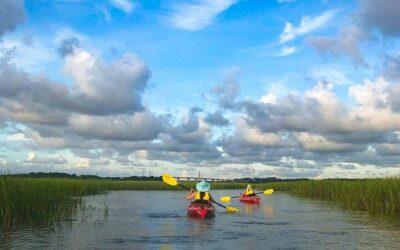 Best Things to Do in Hilton Head Island (2026): Top-Rated Tours & Experiences