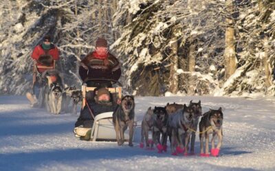 Best Things to Do in Fairbanks (2026): Top-Rated Tours & Experiences