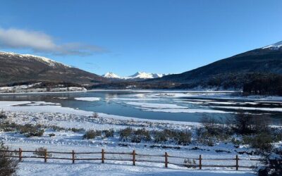 Best Tours & Experiences in Ushuaia