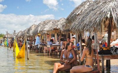 Best Tours & Experiences in Jericoacoara