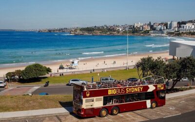 Blue Mountains: Three Sisters, Scenic World and Wildlife park (2026 Review & Booking Guide)