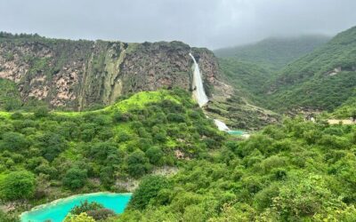 Best Tours & Experiences in Salalah