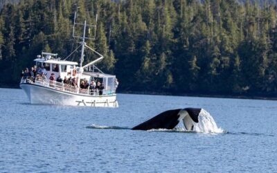 Best Time to Visit Ketchikan (2026): Month-by-Month Guide