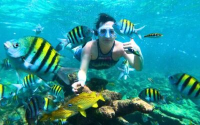 Cartagena’s Rosario Islands 5-Site Boat Tour with Lunch (2026 Review & Booking Guide)