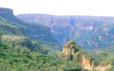 Best Tours & Experiences in Lake Naivasha