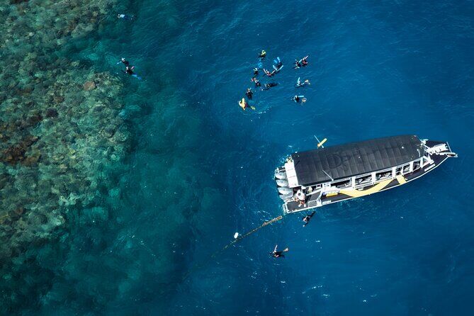 Melhores passeios e experiências em Cairns 16 Cairns Half Day Great Barrier Reef Snorkelling Tour