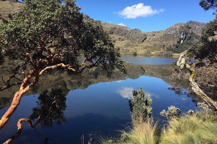 Best Things To Do in Cuenca: Catedral de la Inmaculada Concepcion & Rio Tomebamba promenade 18 Cajas Unveiled: A Half-Day Escape from Cuenca
