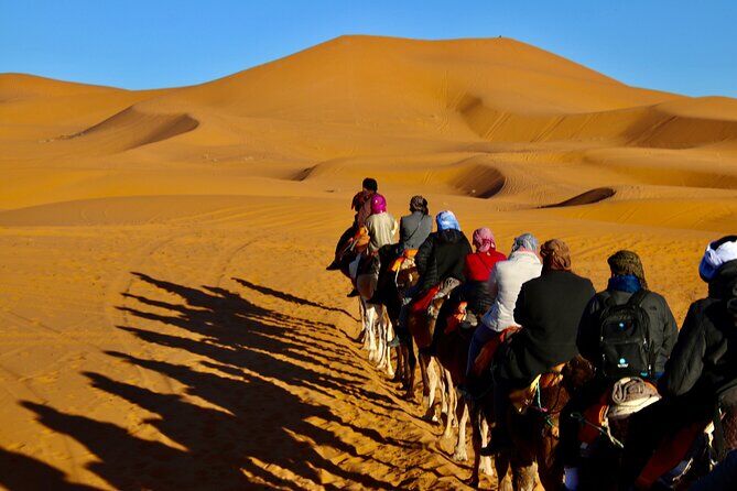 Camel Ride and Camp Night in Merzouga