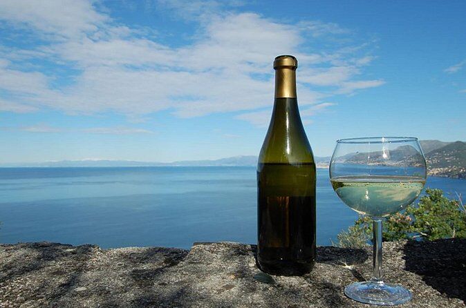 Best Tours & Experiences in Camogli Italy 20 CAMOGLI PRIVATE Ligurian Wine Tasting Experience and Walking on National Park - Camogli Italy